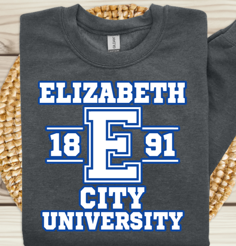Elizabeth City State University Elizabeth City Viking Pride Gray Sweater