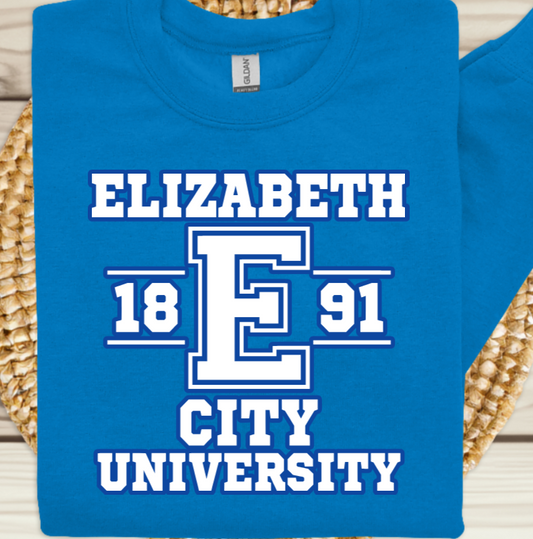 Elizabeth City State University Elizabeth City Viking Pride Royal Blue Sweater