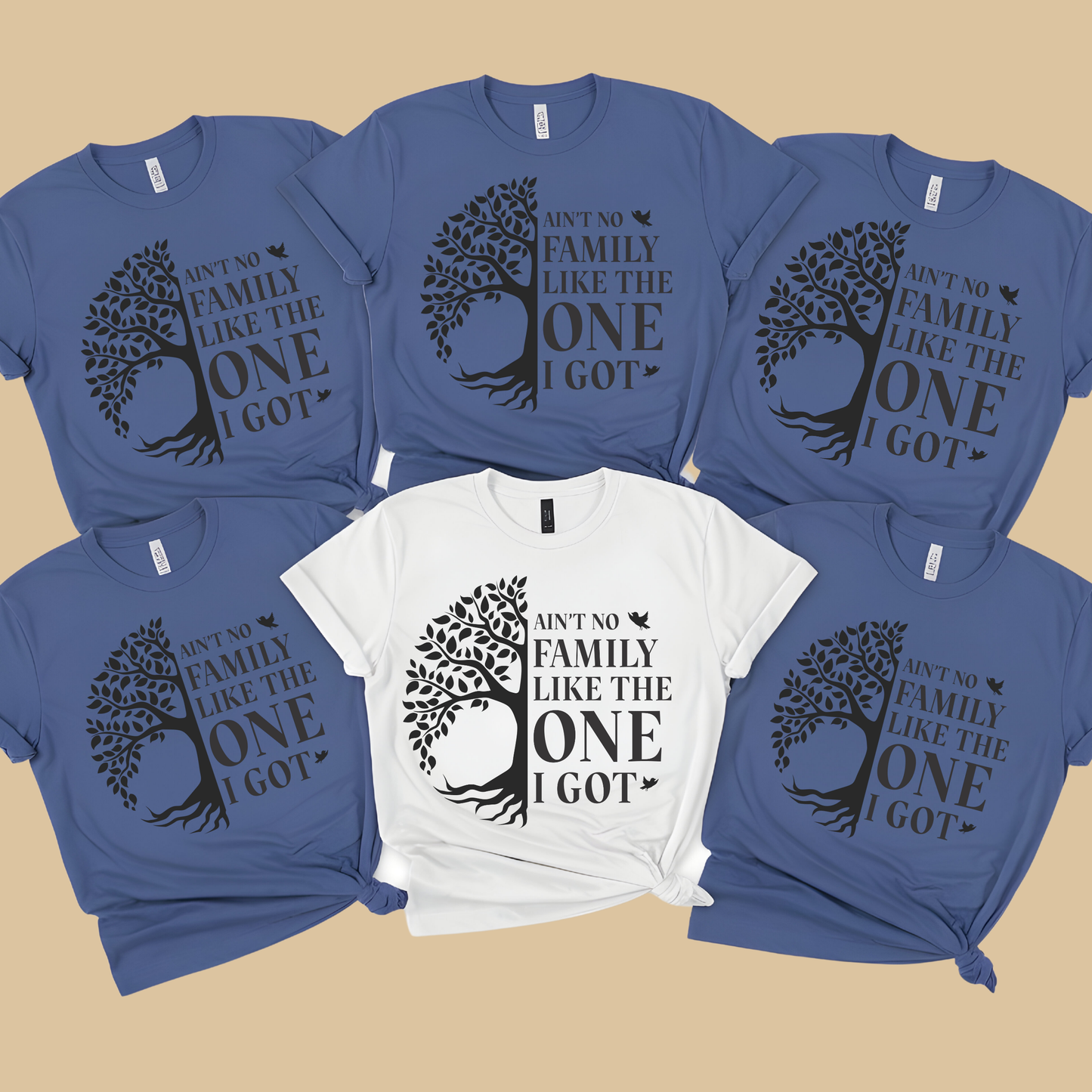 Family Reunion Shirt - Ain't No Family Like The One I Got - Family Matching 2025 Tee