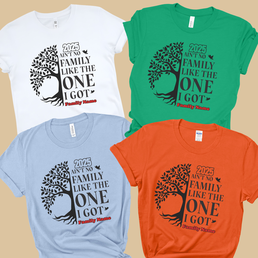 Family Reunion Shirt - Ain't No Family Like The One I Got - Family Matching 2025 Tee