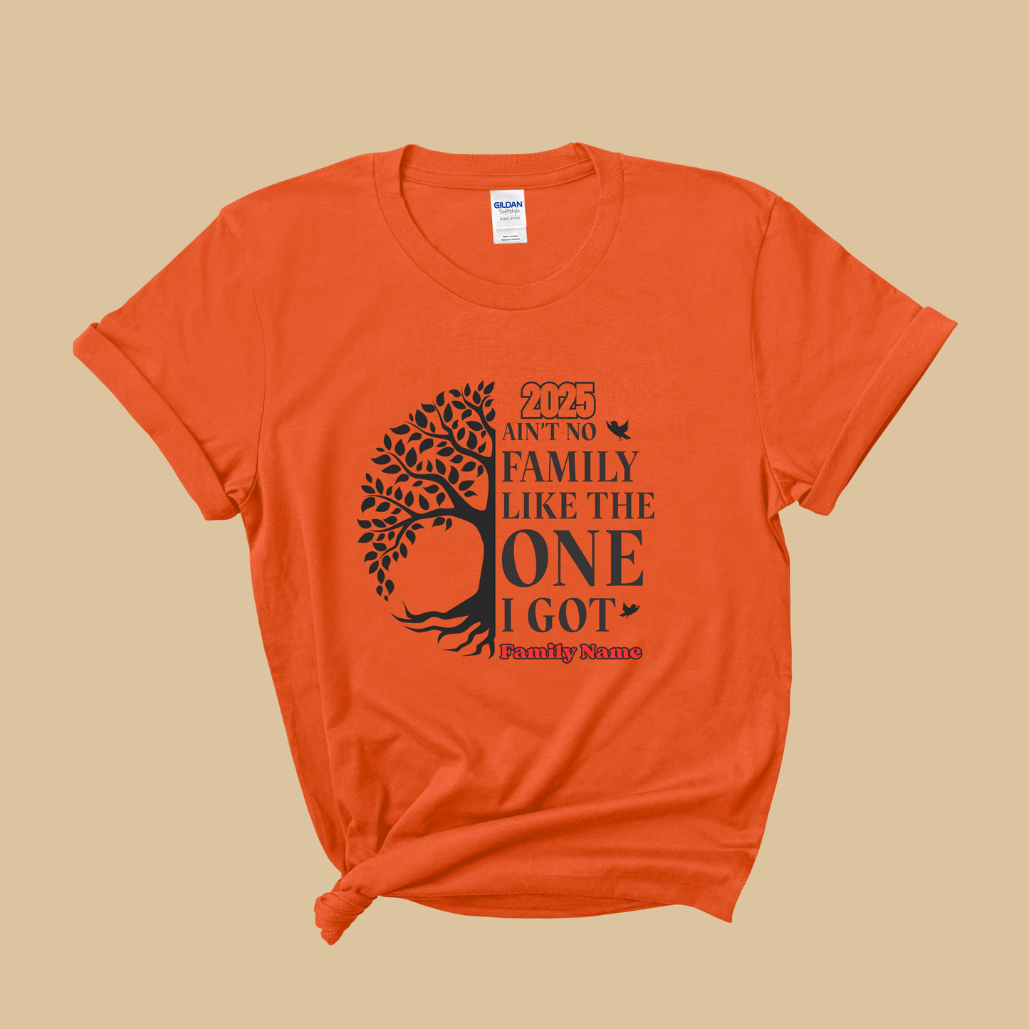 Family Reunion Shirt - Ain't No Family Like The One I Got - Family Matching 2025 Tee