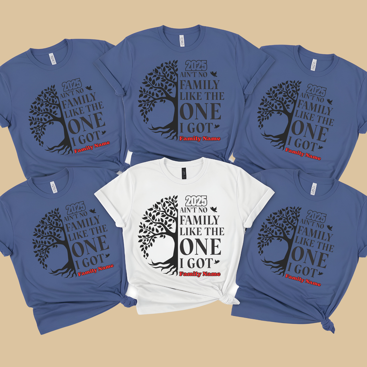 Family Reunion Shirt - Ain't No Family Like The One I Got - Family Matching 2025 Tee