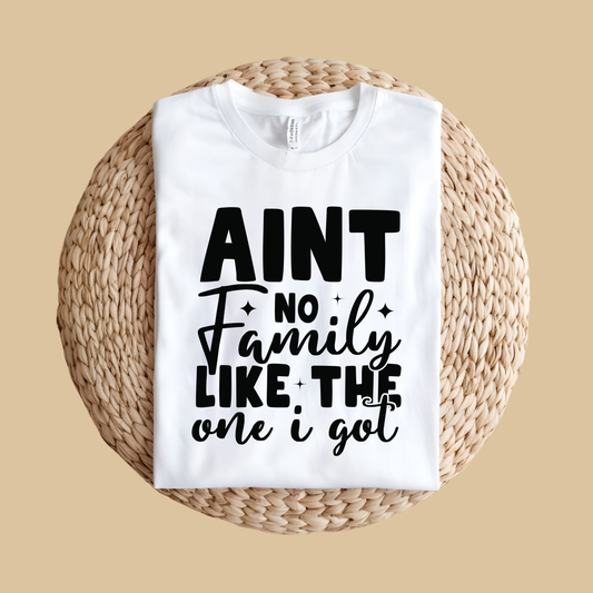 Family Reunion Shirt - Ain't No Family Like The One I Got - Reunion Matching Tee