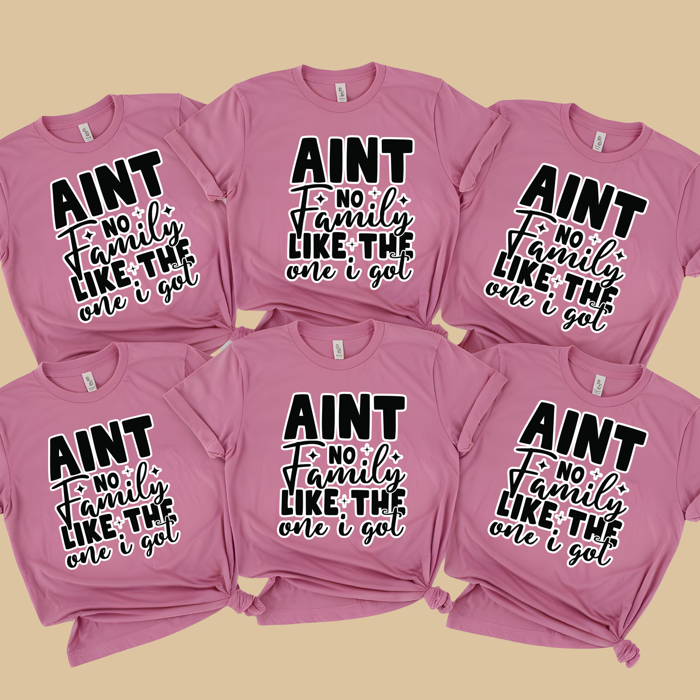 Family Reunion Shirt - Ain't No Family Like The One I Got - Reunion Matching Tee