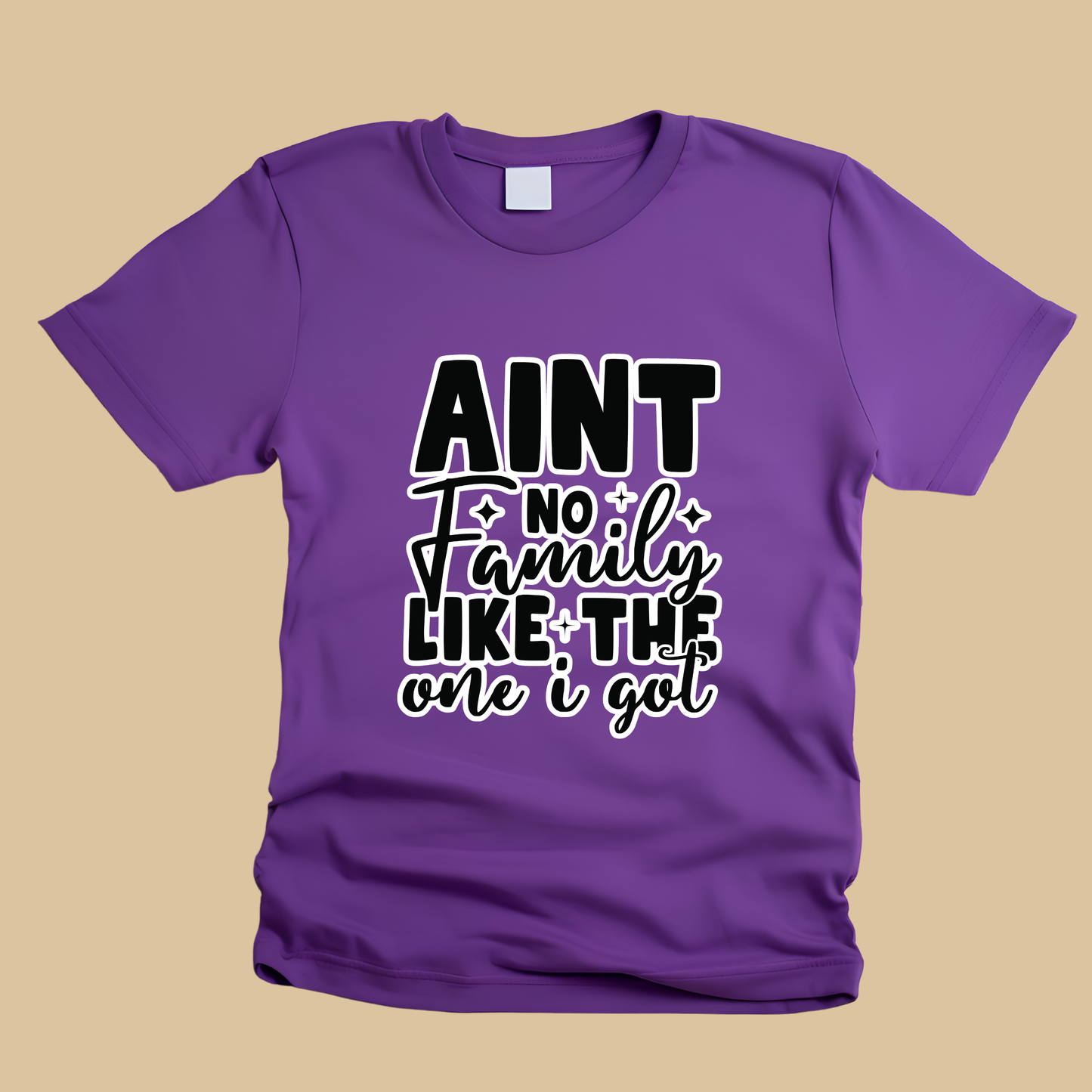 Family Reunion Shirt - Ain't No Family Like The One I Got - Reunion Matching Tee