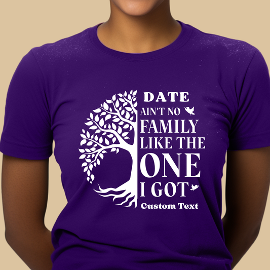 Family Reunion Shirt - Ain't No Family Like The One I Got -  Family Matching Custom Tee