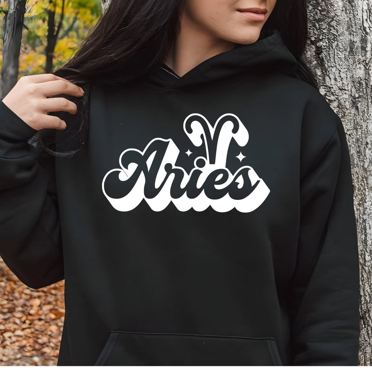 Aries Zodiac Hoodie - Retro Aries Horoscope Unisex Hoodie