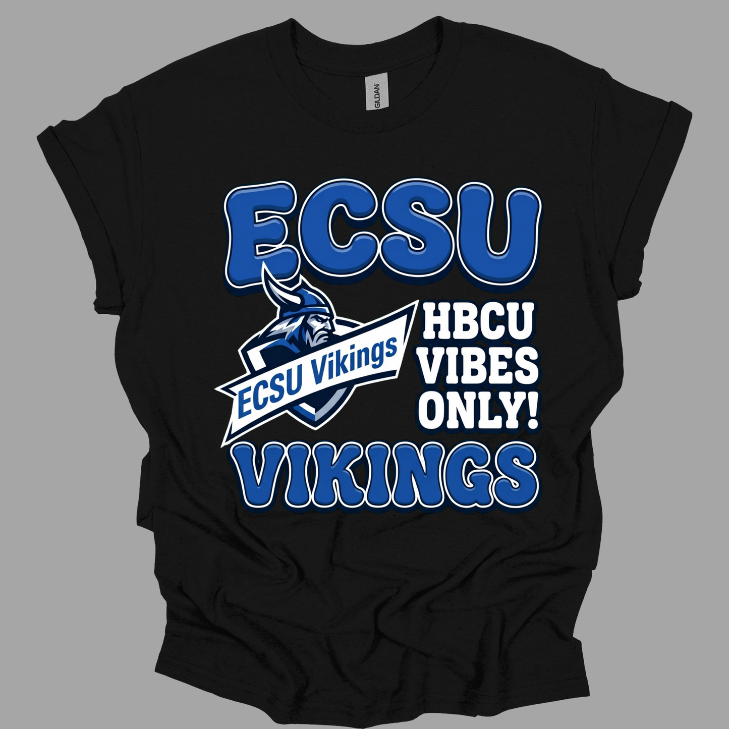 A black short-sleeve t-shirt with a blue and white graphic print that reads 'ECSU' and 'HBCU VIBES ONLY! VIKINGS' alongside the 'ECSU Vikings' logo, shown on a solid gray background.