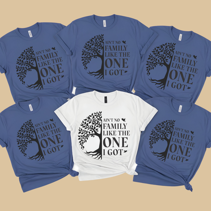 Family Reunion Shirt - Ain't No Family Like The One I Got -  Family Matching 2025 Tee