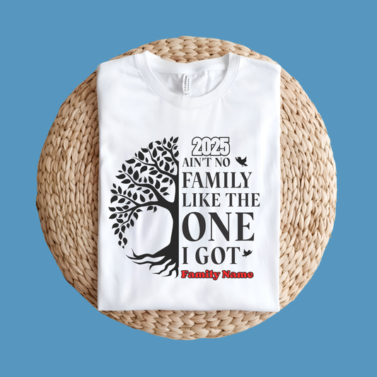 Family Reunion Shirt - Ain't No Family Like The One I Got -  Family Matching 2025 Tee