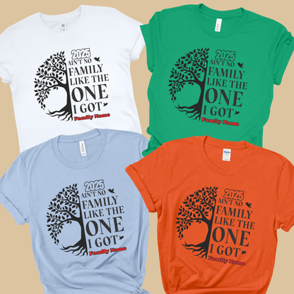 Family Reunion Shirt - Ain't No Family Like The One I Got -  Family Matching 2025 Tee