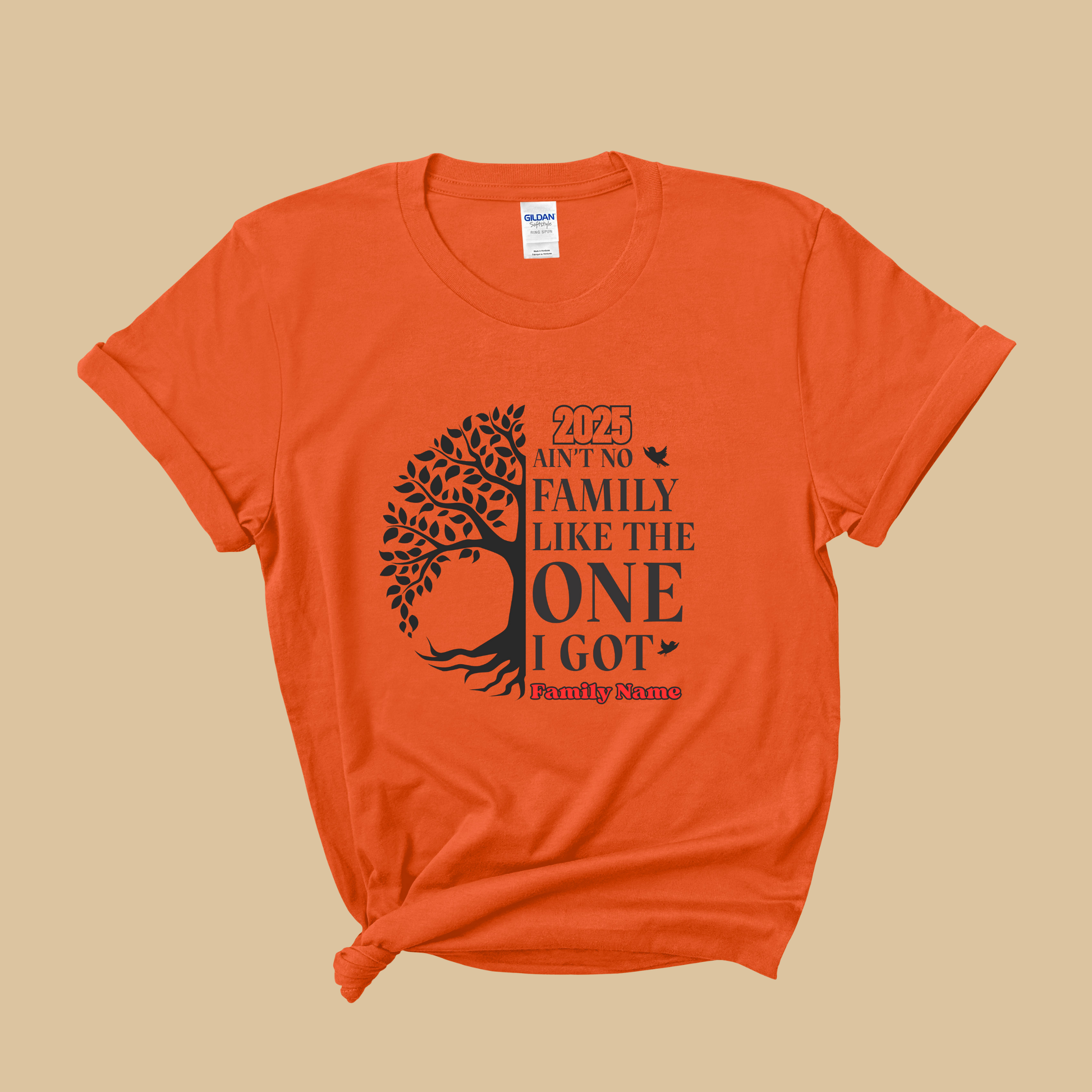Family Reunion Shirt - Ain't No Family Like The One I Got -  Family Matching 2025 Tee