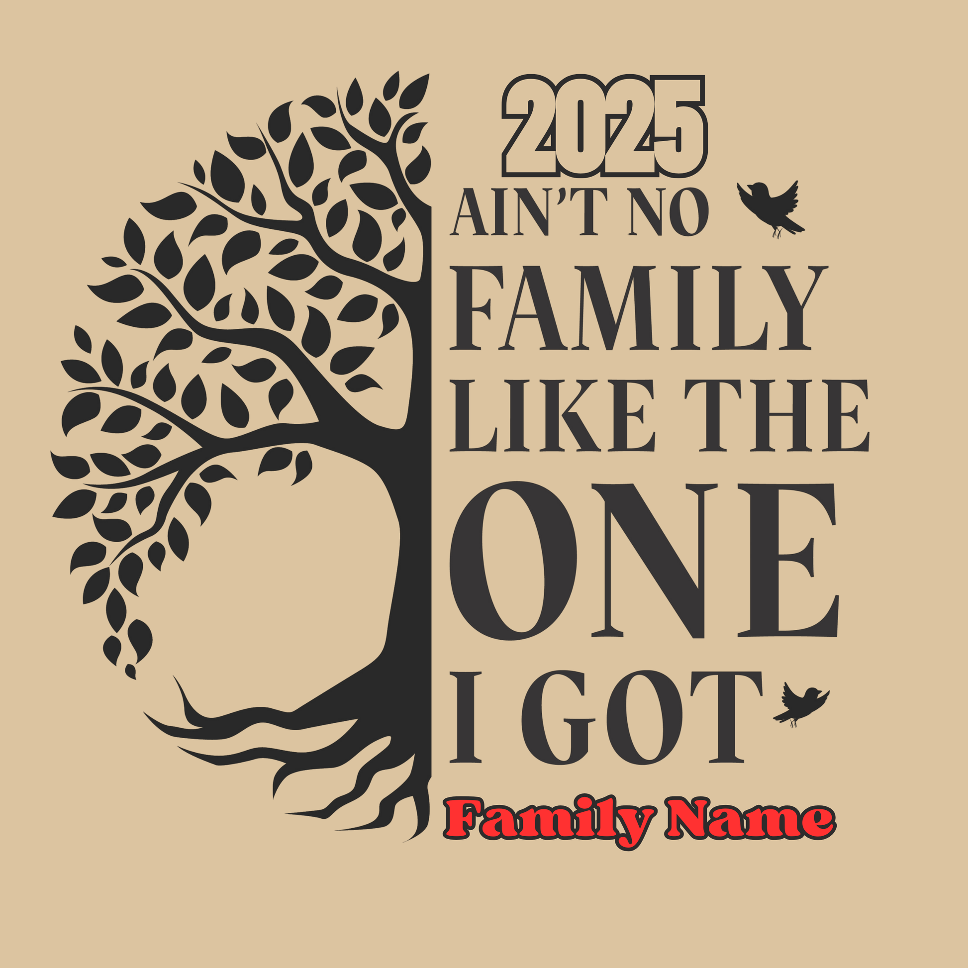 Family Reunion Shirt - Ain't No Family Like The One I Got -  Family Matching 2025 Tee
