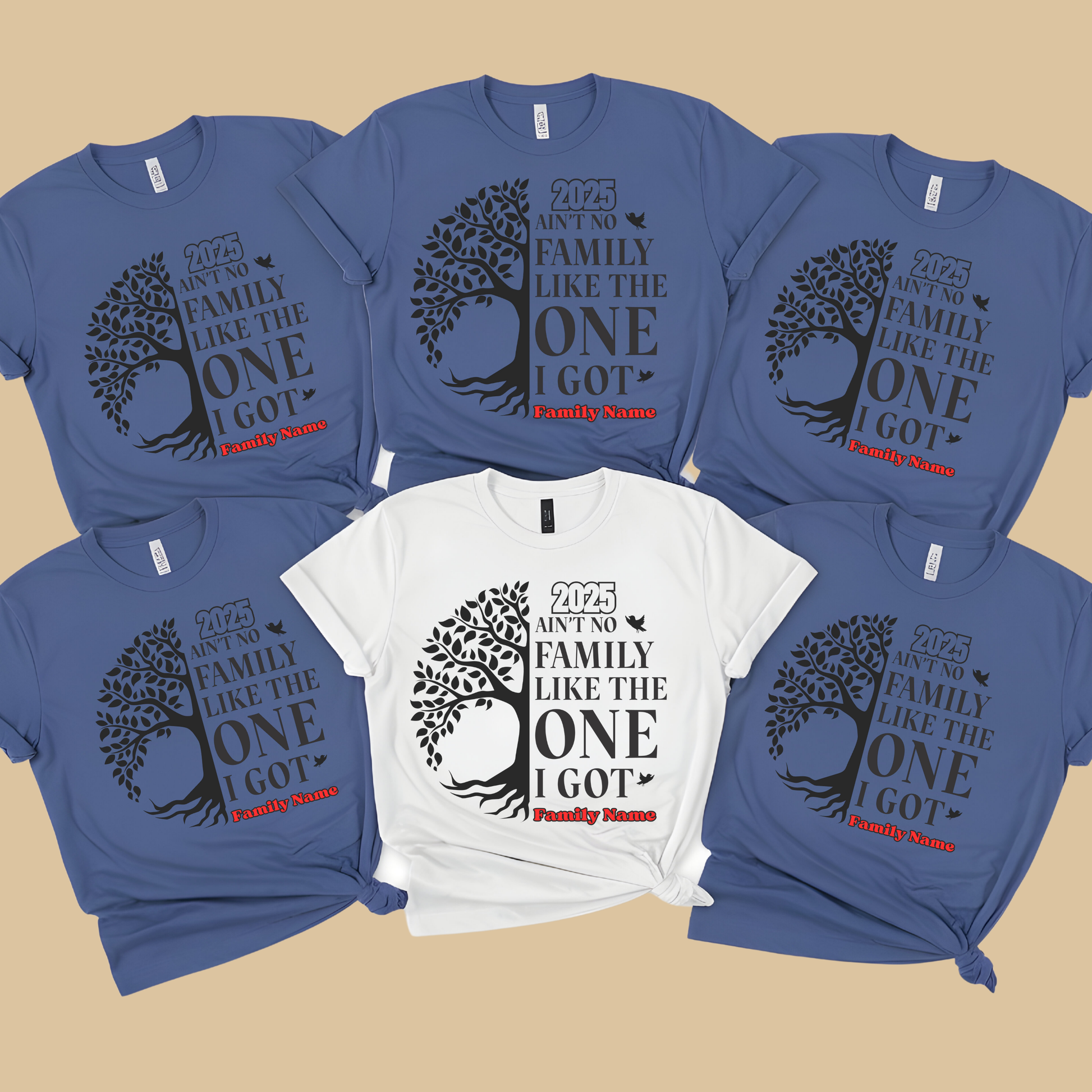 Family Reunion Shirt - Ain't No Family Like The One I Got -  Family Matching 2025 Tee