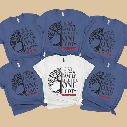 Family Reunion Shirt - Ain't No Family Like The One I Got -  Family Matching 2025 Tee