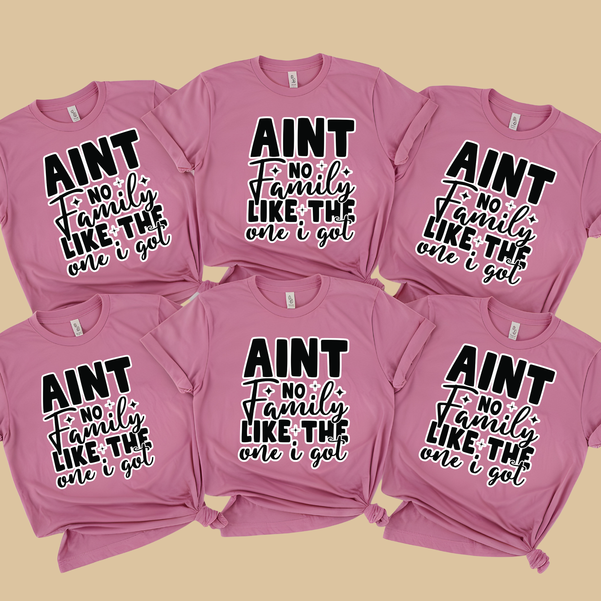 Family Reunion Shirt - Ain't No Family Like The One I Got - Reunion Matching Tee