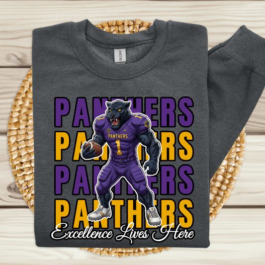 Dark gray sweatshirt with panther graphic and text on a woven mat  Prairie View Panthers  Sweatshirt: HBCU Game Day Football Cozy Sweater