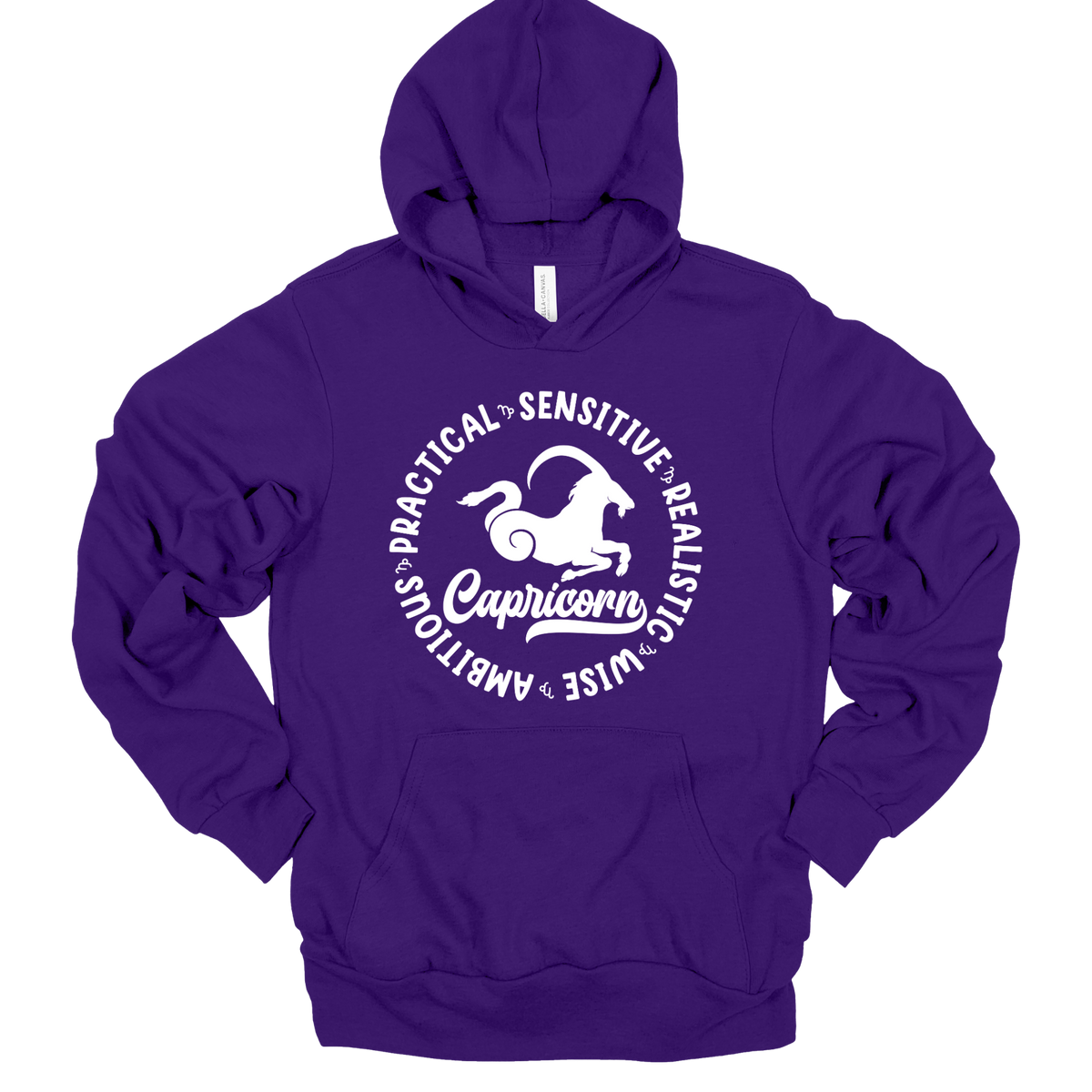 Capricorn Zodiac Shirt - Astrology Apparel, Crewneck, Long Sleeve, and Hoodie