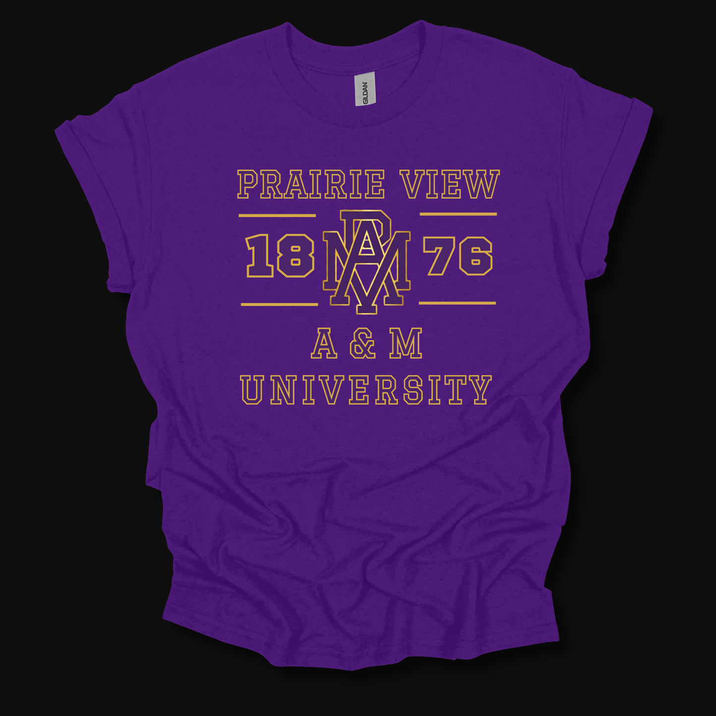 A purple short-sleeve t-shirt with a vintage-style gold graphic print reading 'PRAIRIE VIEW 1876 A & M UNIVERSITY' on a solid black background.