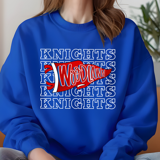 A person wearing a bright royal blue sweatshirt with 'PANTHERS' printed in large white letters across the chest and 'Stanley' in smaller white script underneath.