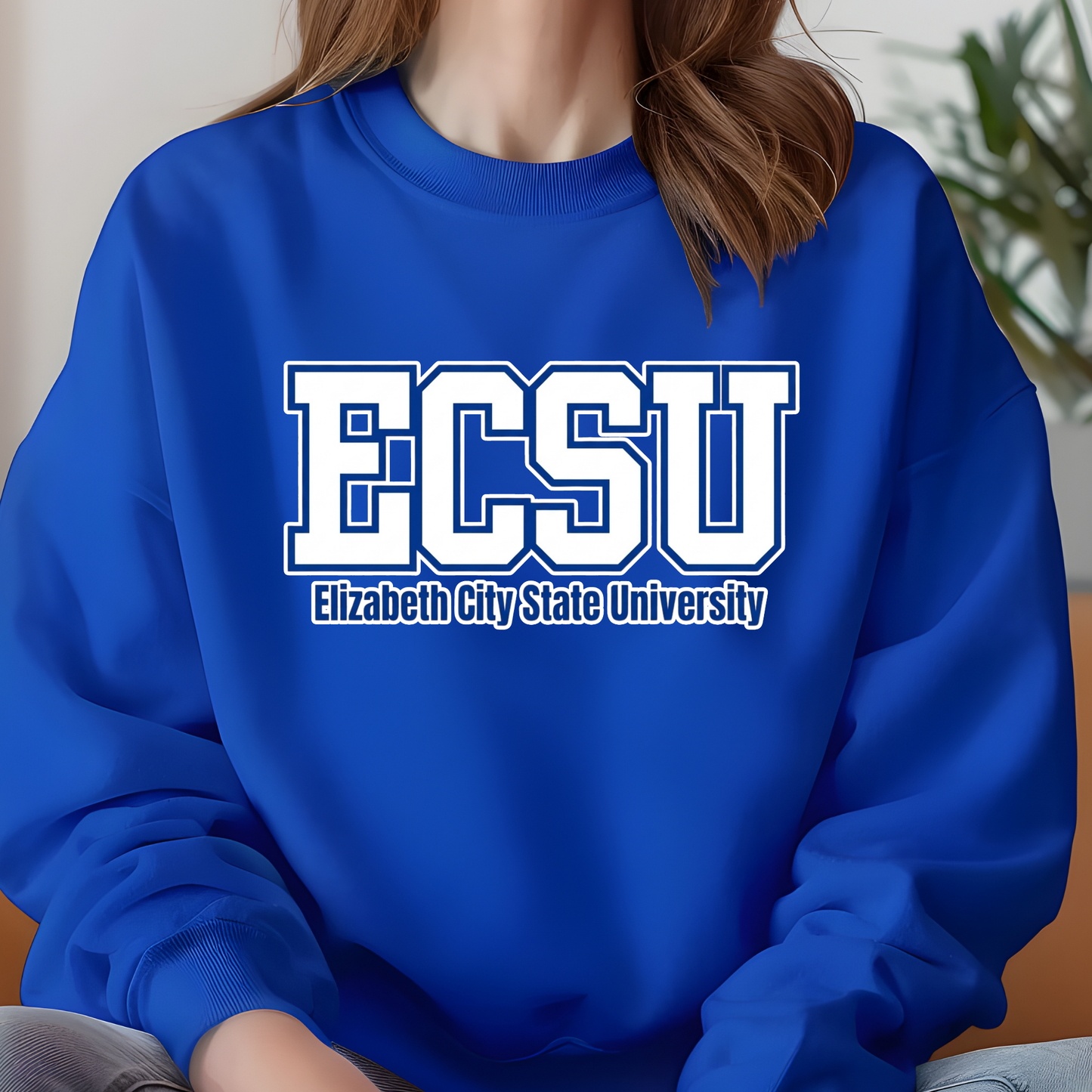 Elizabeth City State University Shirt - ECSU Viking Game Day Tee - Sweater - Hoodie