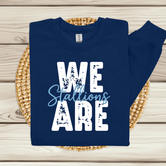 A navy blue sweatshirt laid flat on a woven straw mat over a light wood plank surface. The sweatshirt has large distressed white text reading 'WE ARE' with a light blue script overlay reading 'Stallions'.