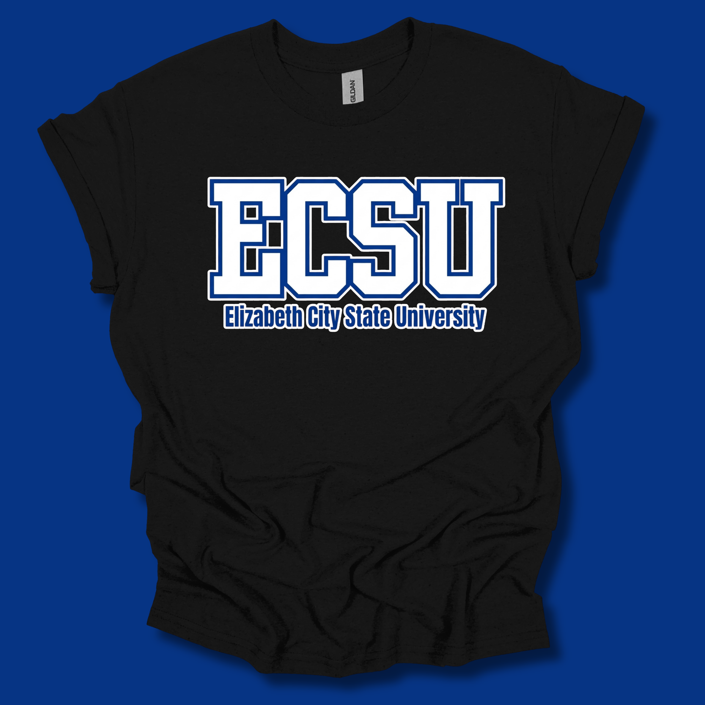 Elizabeth City State University Shirt - ECSU Viking Game Day Tee - Sweater - Hoodie
