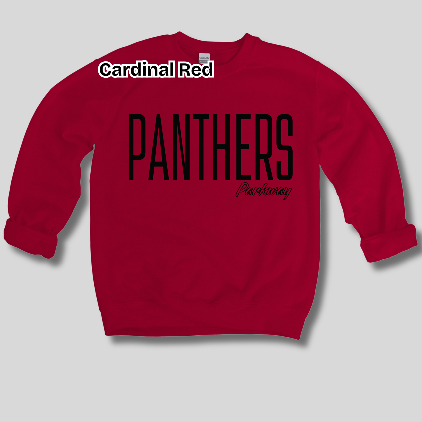 Parkway Panthers School Spirit Wear - Parkway Panthers Game Day Shirt