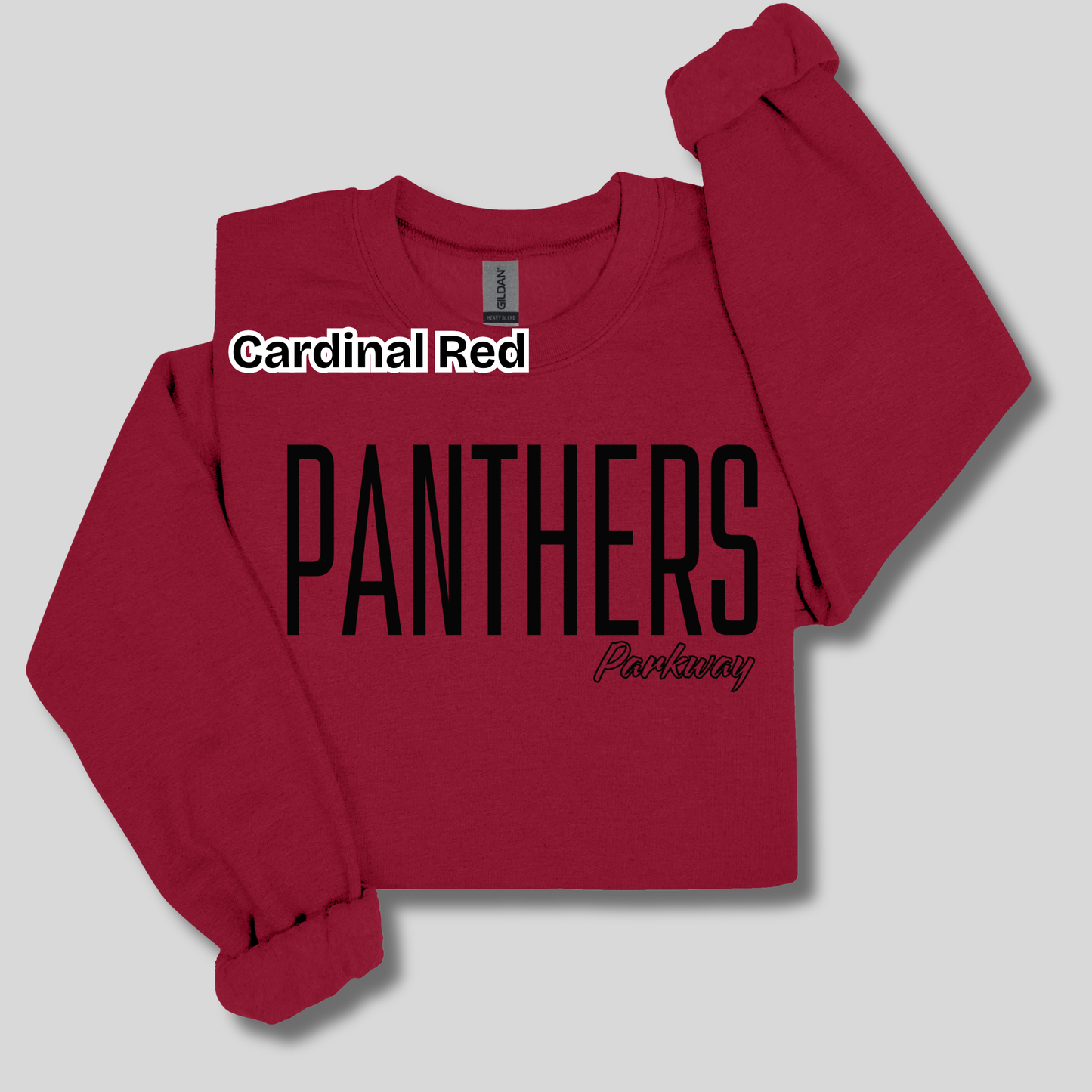 Parkway Panthers School Spirit Wear - Parkway Panthers Game Day Shirt