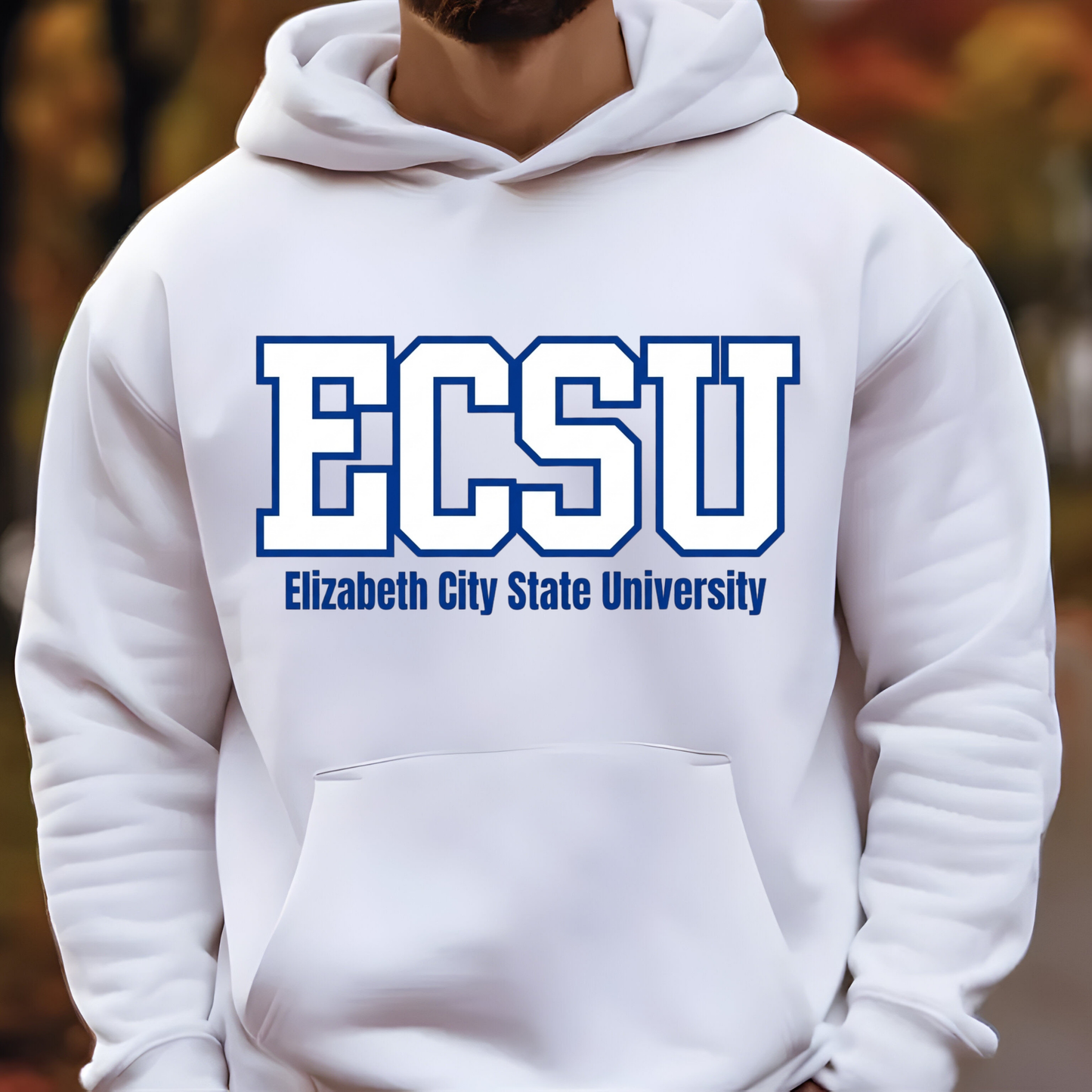 Elizabeth City State University Shirt - ECSU Viking Game Day Tee - Sweater - Hoodie