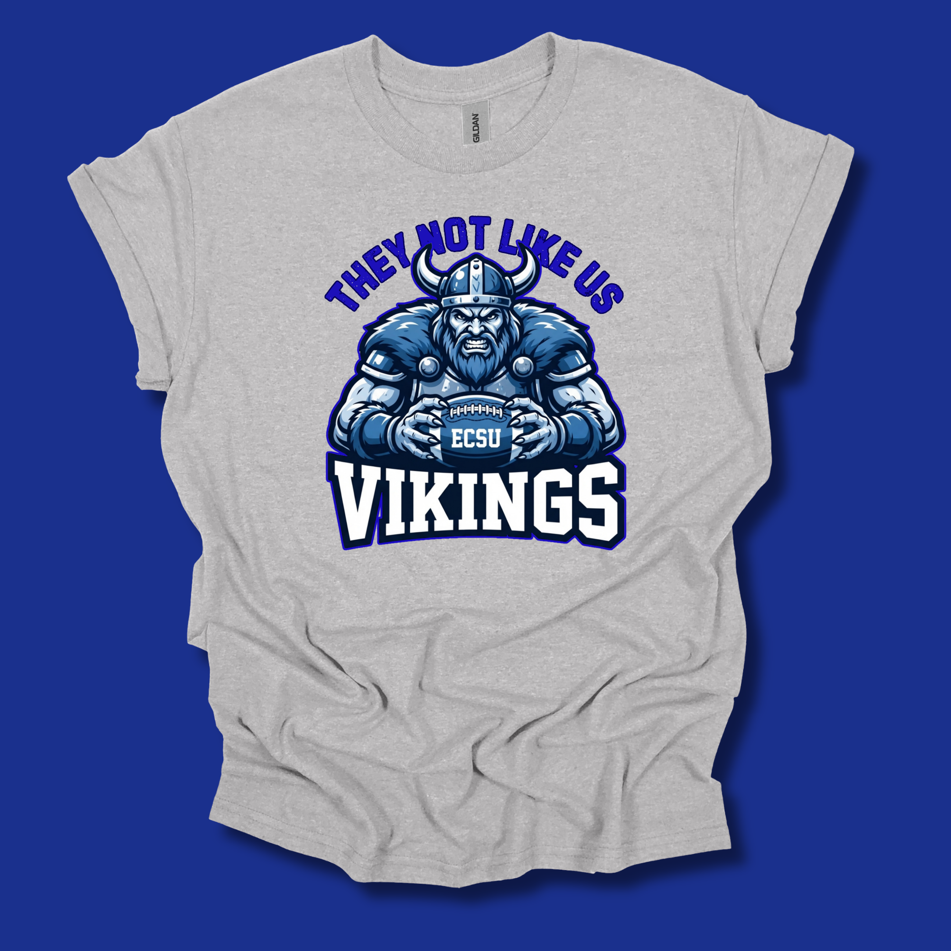 A light heather gray t-shirt with a blue and white graphic print that reads 'ECSU' and 'HBCU VIBES ONLY! VIKINGS' with a Viking mascot logo, shown against a solid blue background.