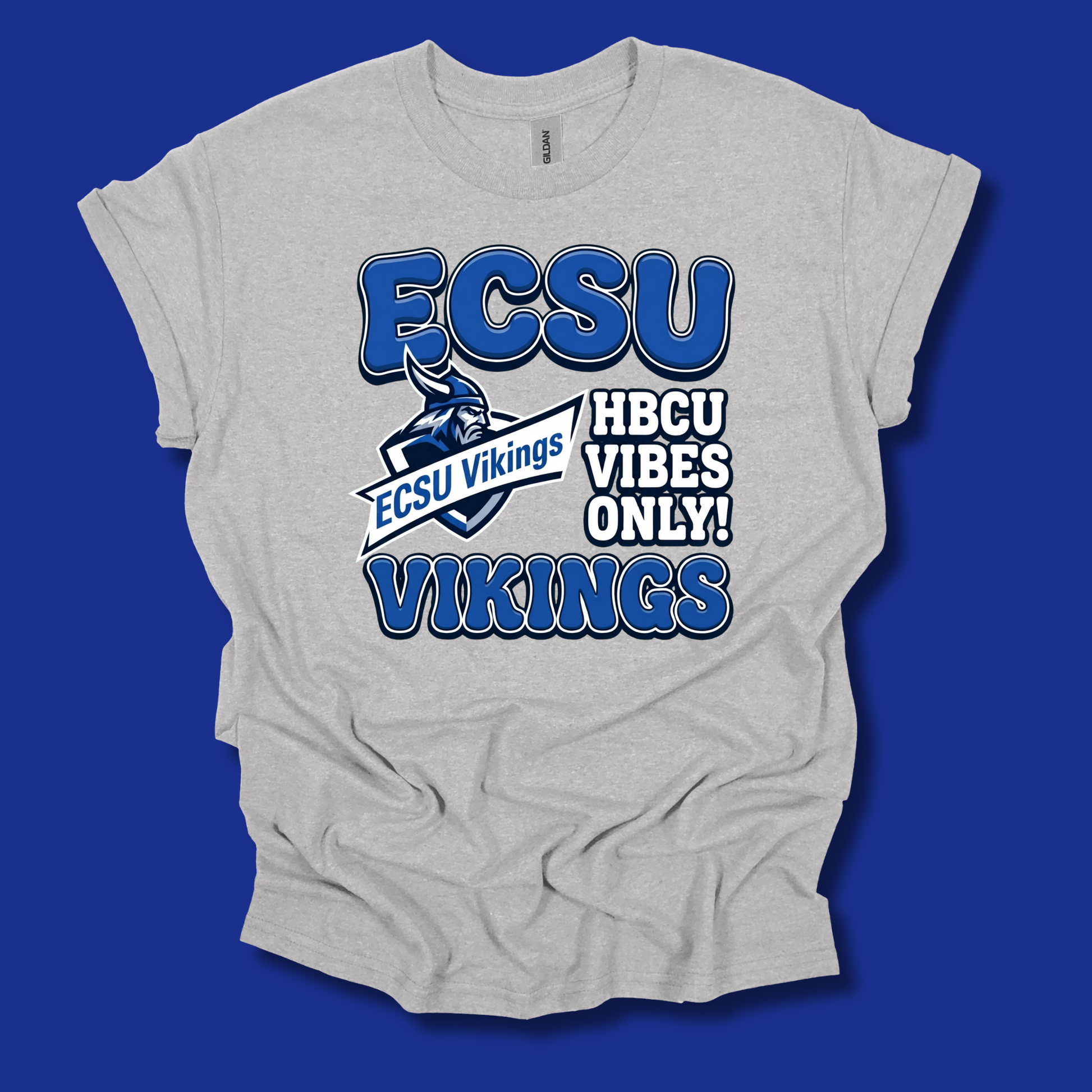 A light heather gray t-shirt with a blue and white graphic print that reads 'ECSU' and 'HBCU VIBES ONLY! VIKINGS' with a Viking mascot logo, shown against a solid blue background.