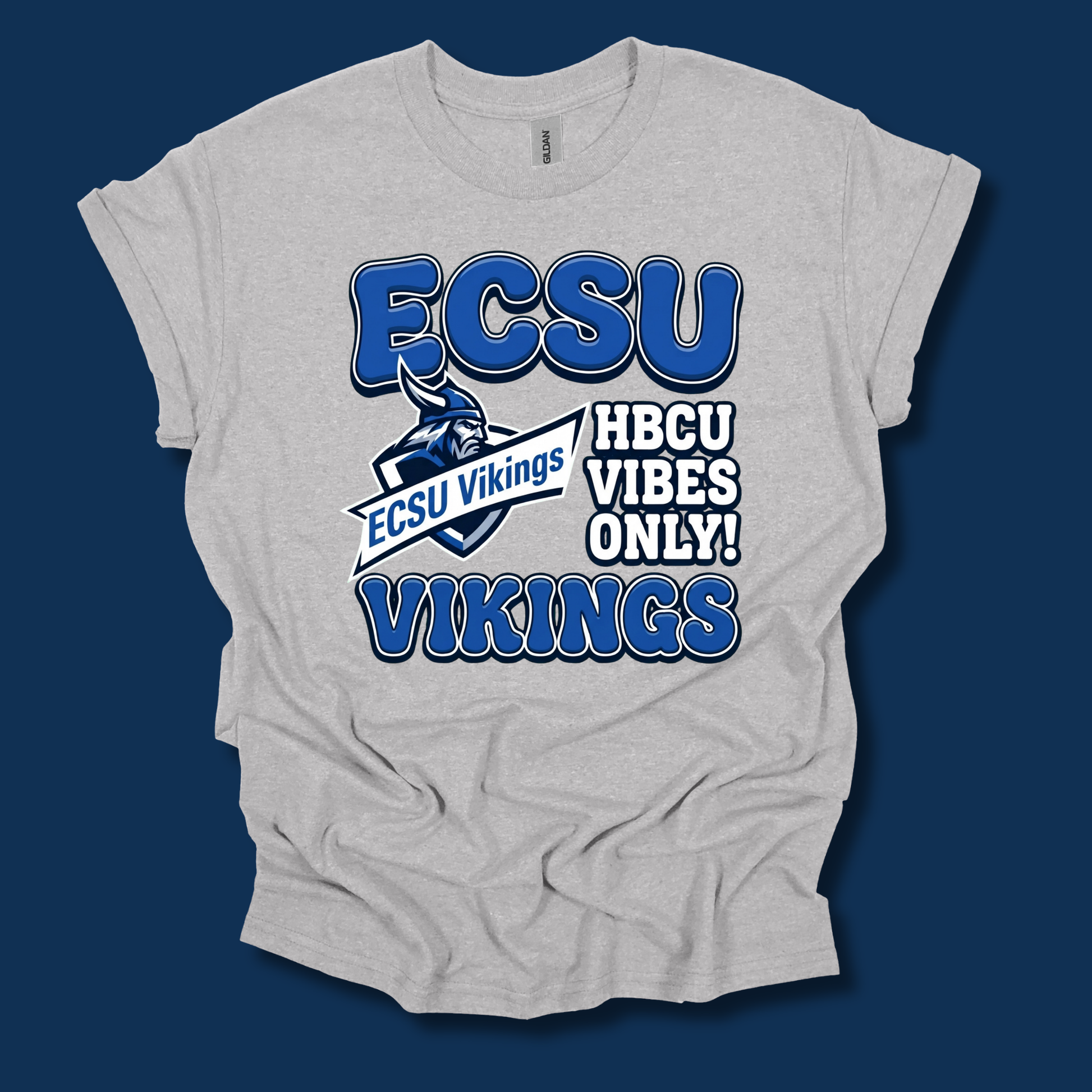 A light heather gray t-shirt with a blue and white graphic print that reads 'ECSU Vikings HBCU VIBES ONLY!' featuring a Viking mascot logo, displayed against a solid dark blue background.
